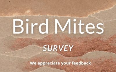 Bird Mites Survey on what else we can do to help