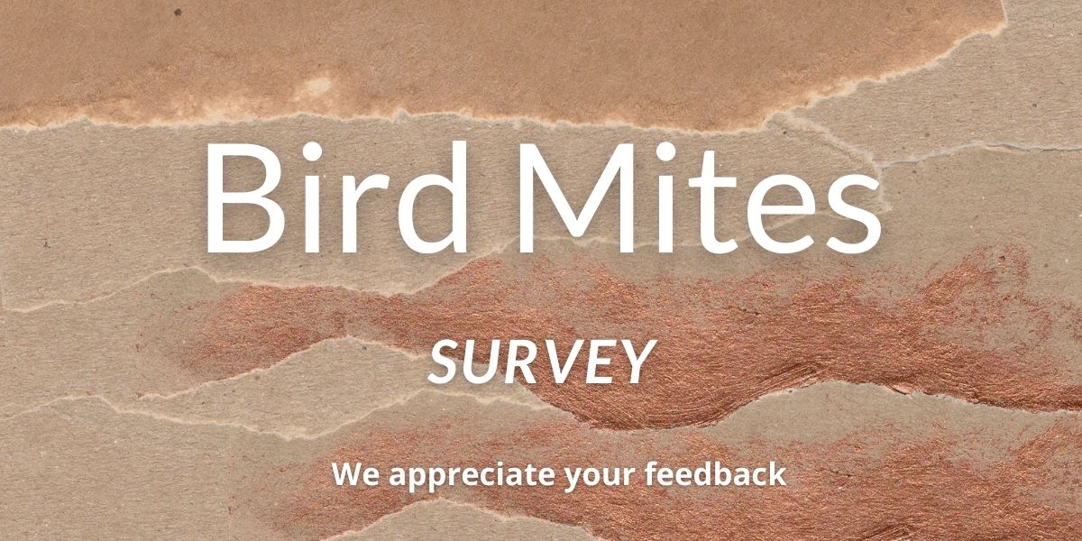 Bird Mites Survey