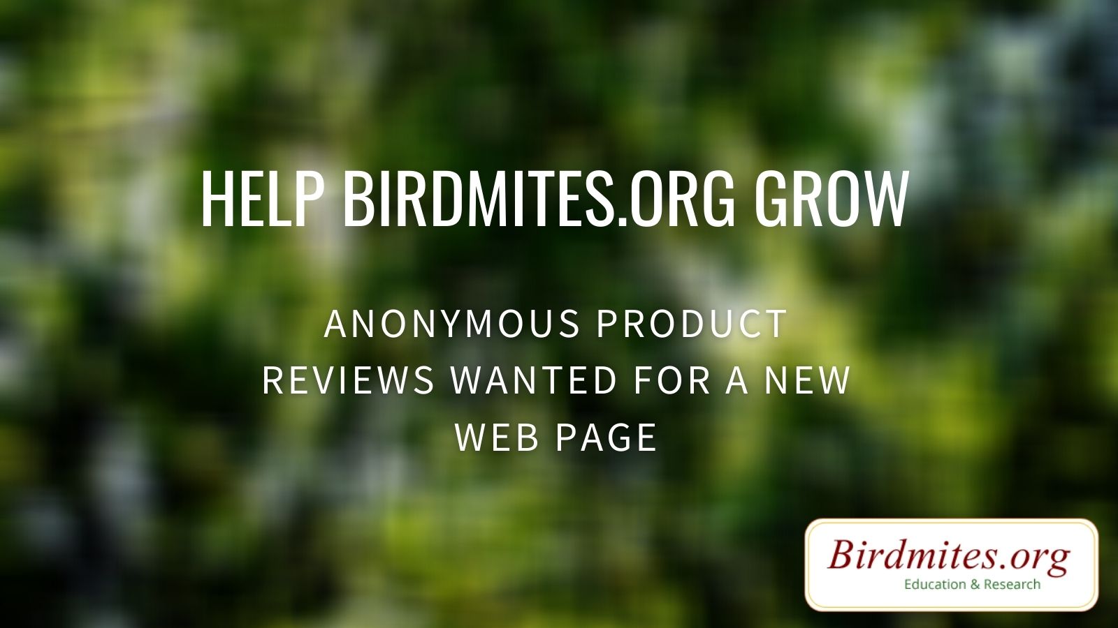 Bird Mites Product Review Page product reviews wanted
